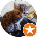 Sib Proust profile picture