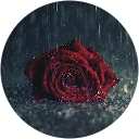 Lea Chevillotte profile picture